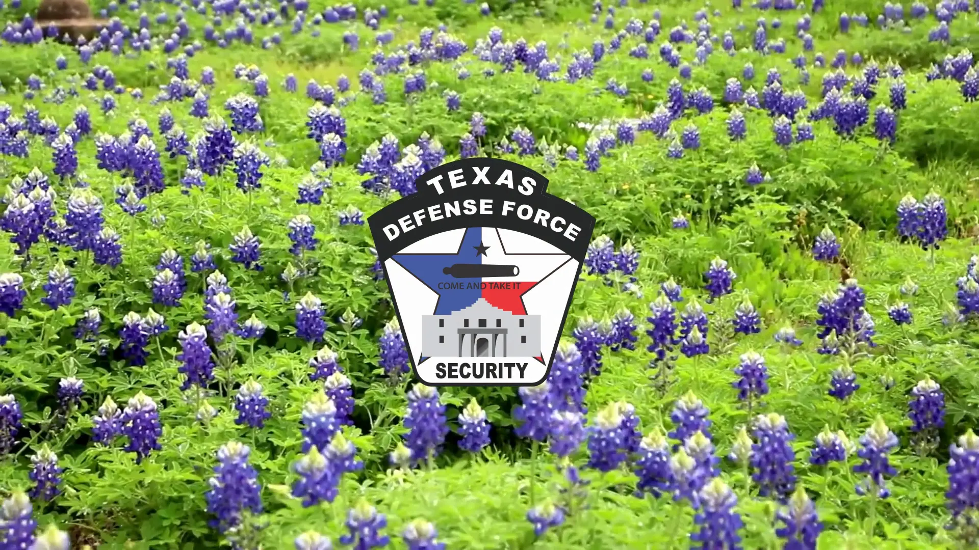 SOP Commercial: Community, Patriotism, and Texas Grit